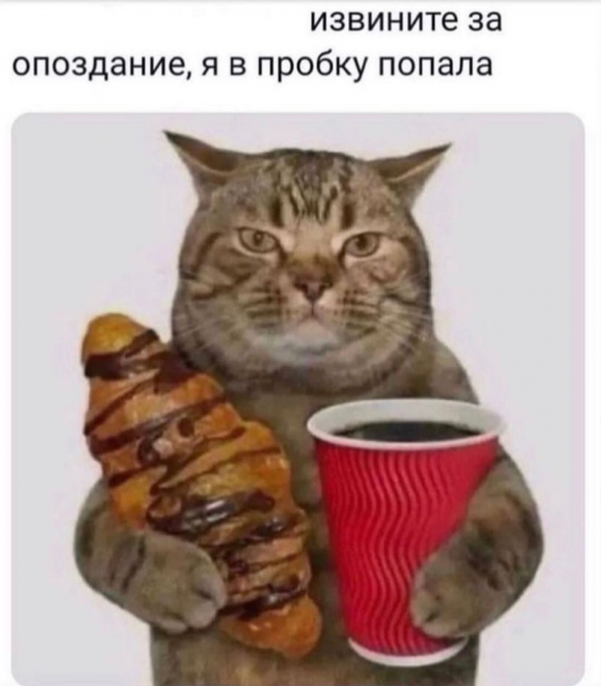 {login}